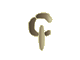 Cactus Records