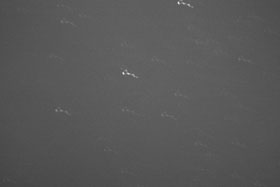 IMG_2858